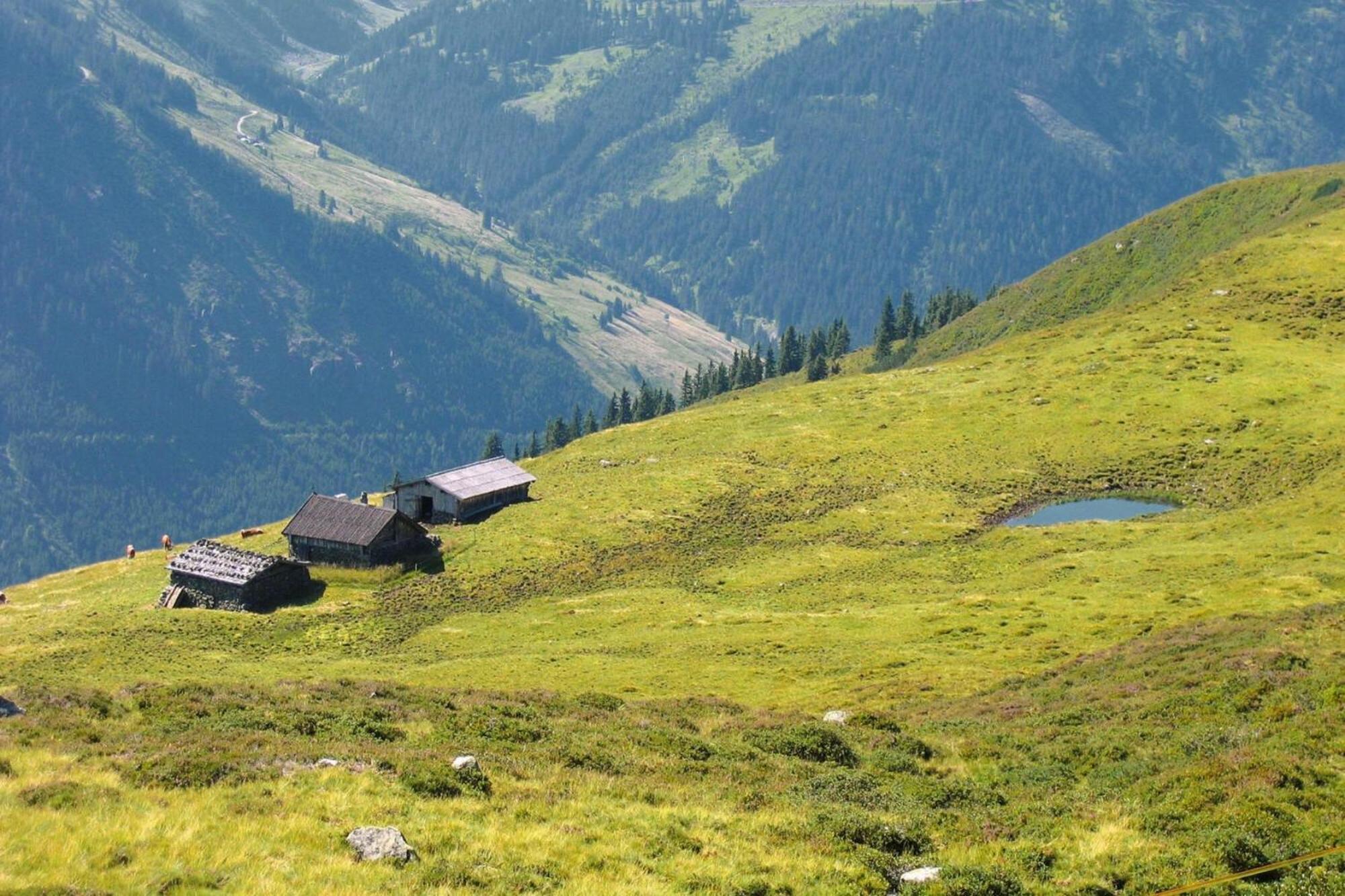 Apartments Schatzberg-Haus, Wildschoenau-Auffach Εξωτερικό φωτογραφία