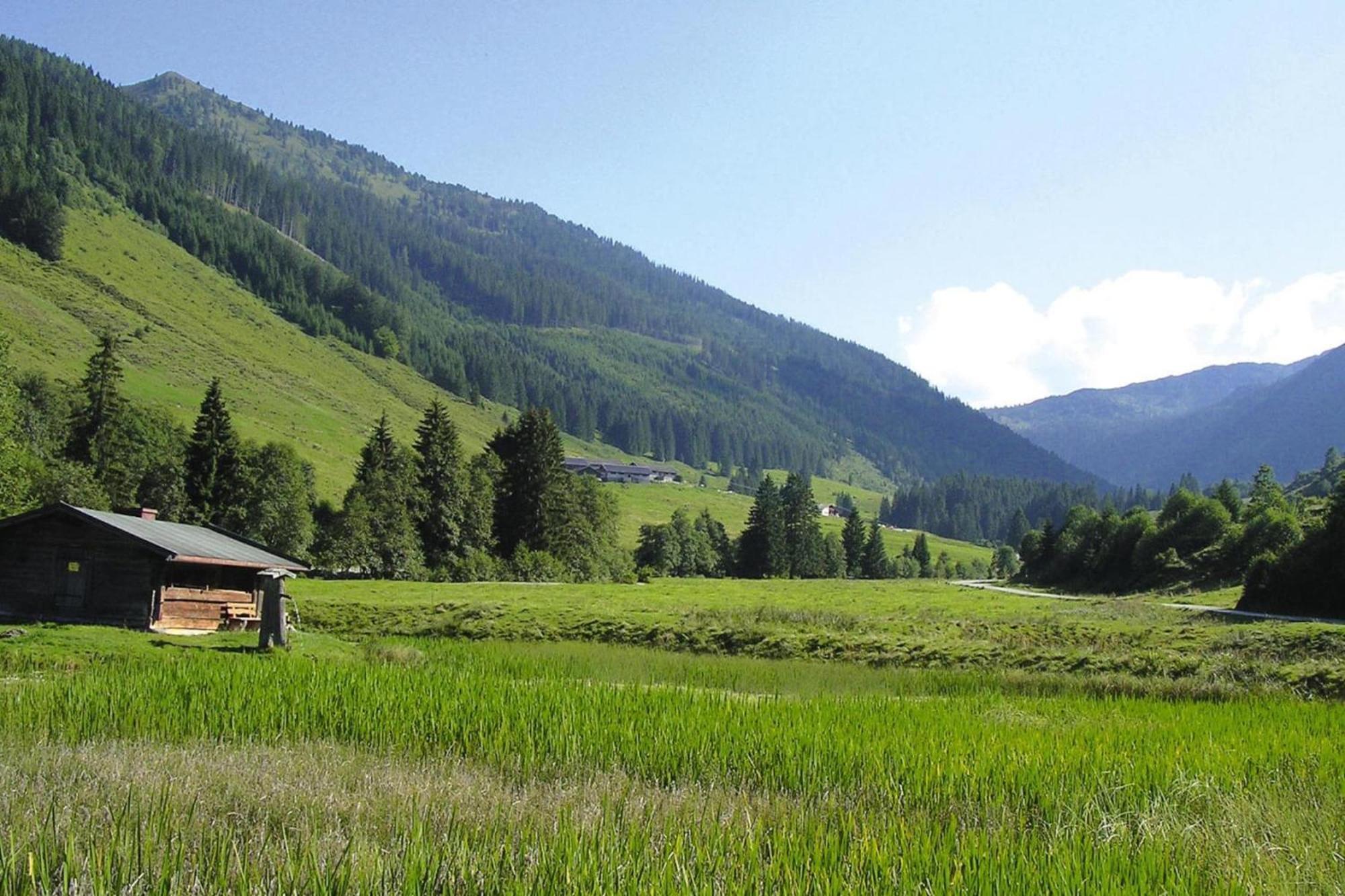 Apartments Schatzberg-Haus, Wildschoenau-Auffach Εξωτερικό φωτογραφία